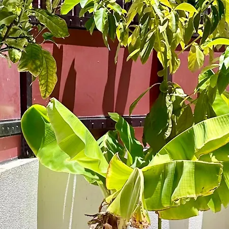 Marina I Puerto Rico